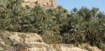Wadi Tiwi