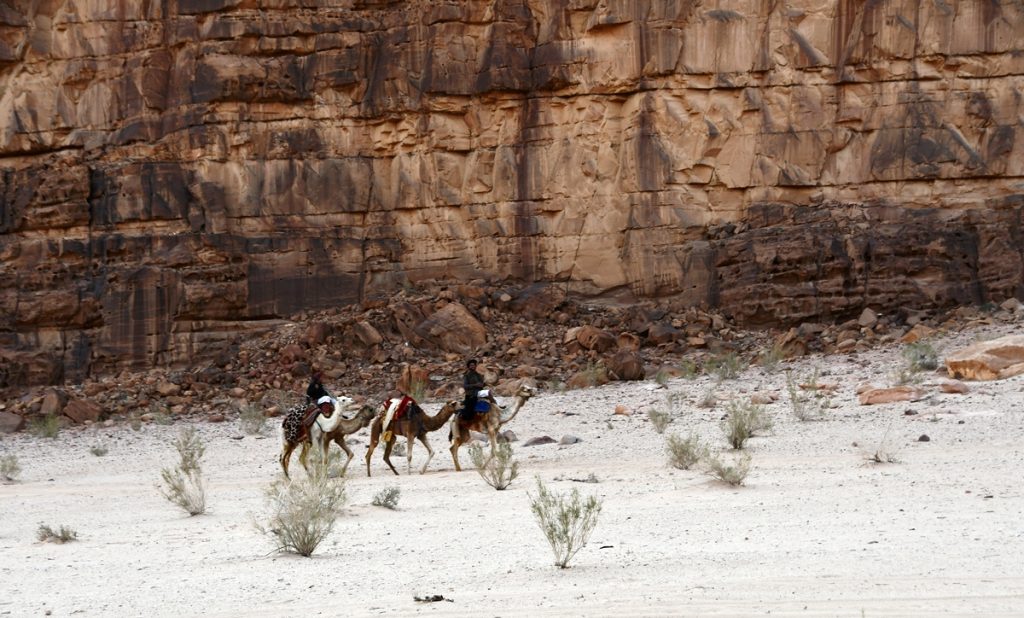 Tour del deserto in dromedario