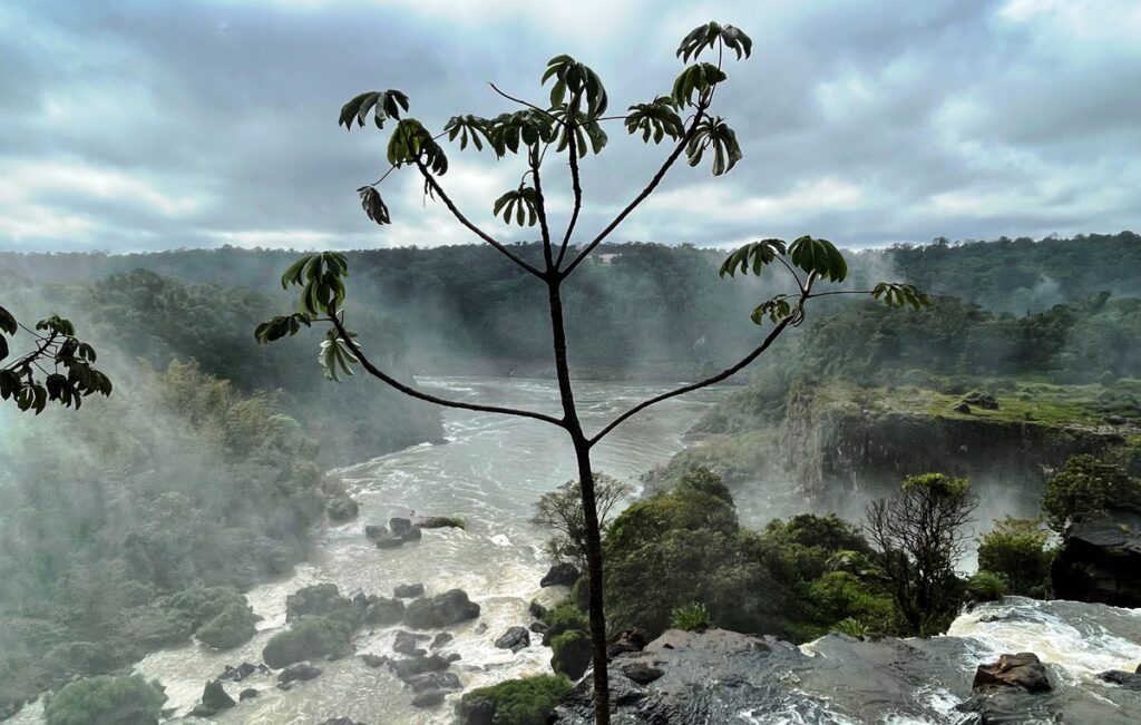 Cascate dal lato argentino