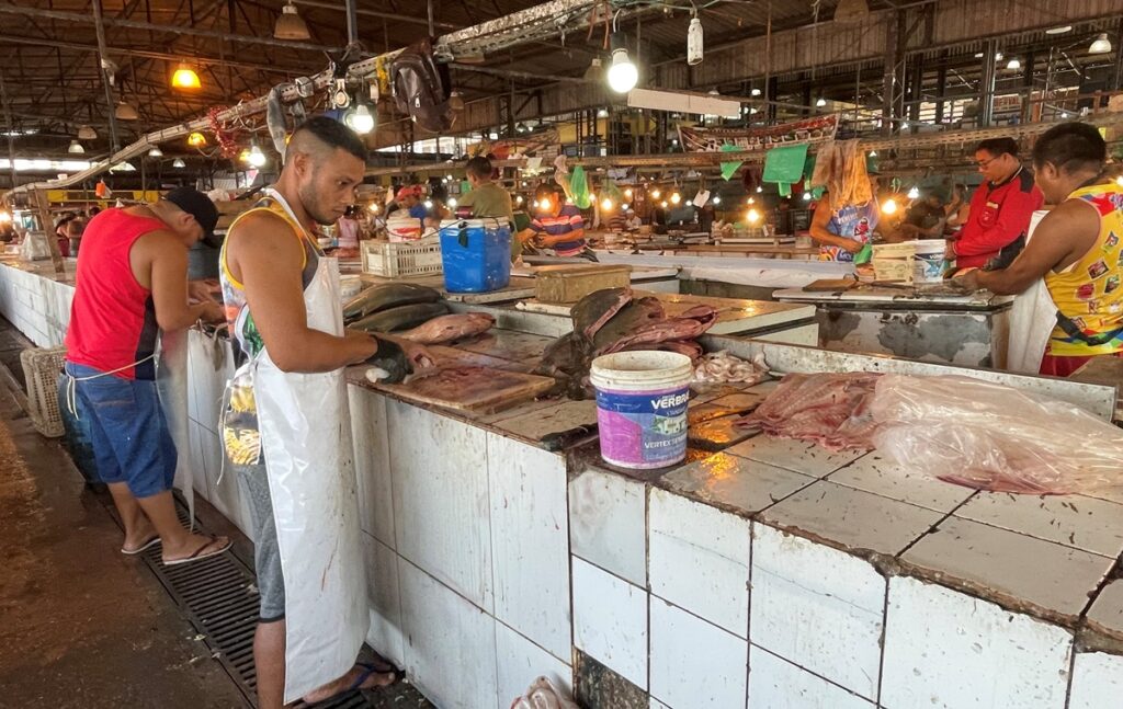 Mercato del pesce