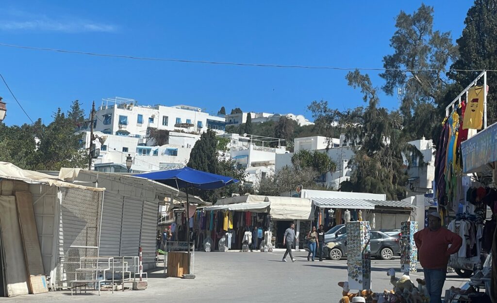 Vista di Sidi Bou Said