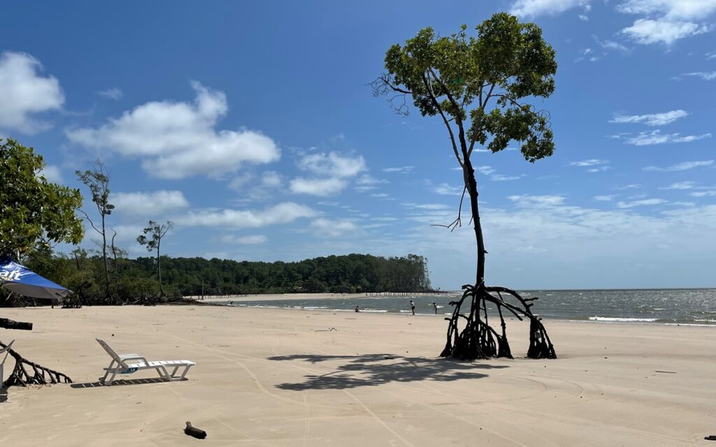Praia da Barra Velha