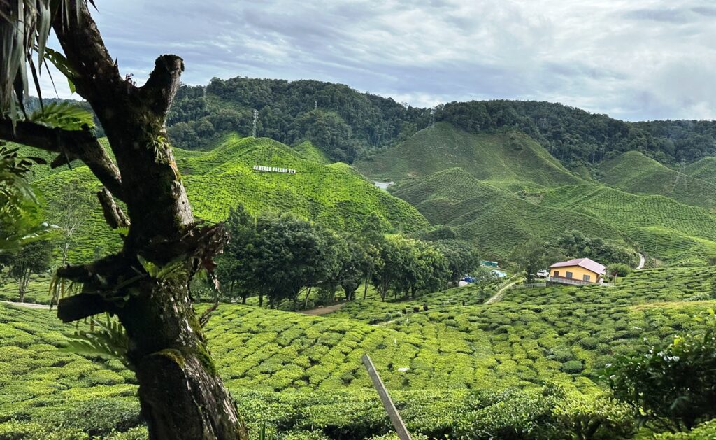 Viaggio in Malesia