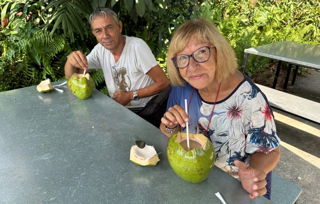 Rinfrescante succo di cocco