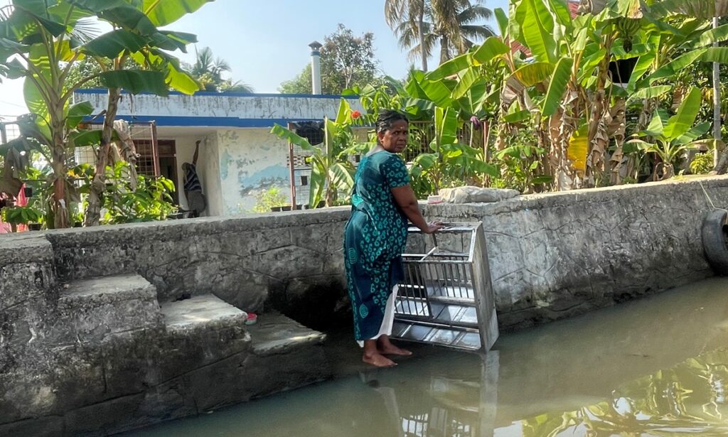 Backwaters del Kerala