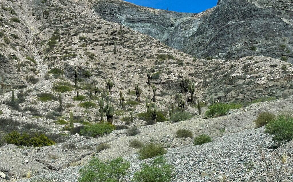 La Puna Argentina